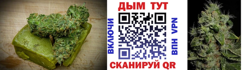 Cannafood конопля Брюховецкая