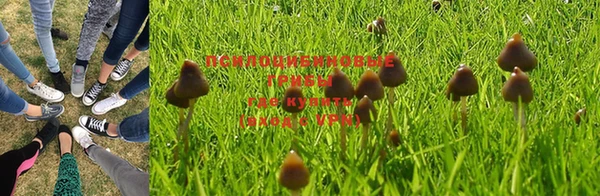 кокс Белокуриха