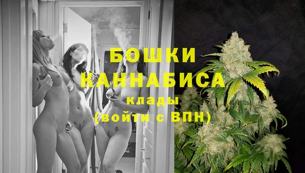 кокс Белокуриха