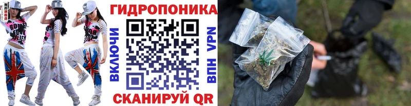 мориарти как зайти  Брюховецкая  МАРИХУАНА тримм 